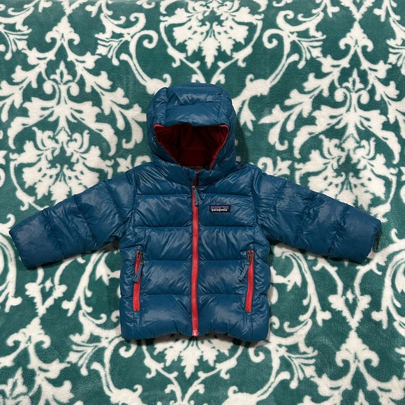 Patagonia Other - Baby Hi-Loft Down Sweater Hoody Jacket Infant BABY BOY or GIRL Size 12-18m Blue